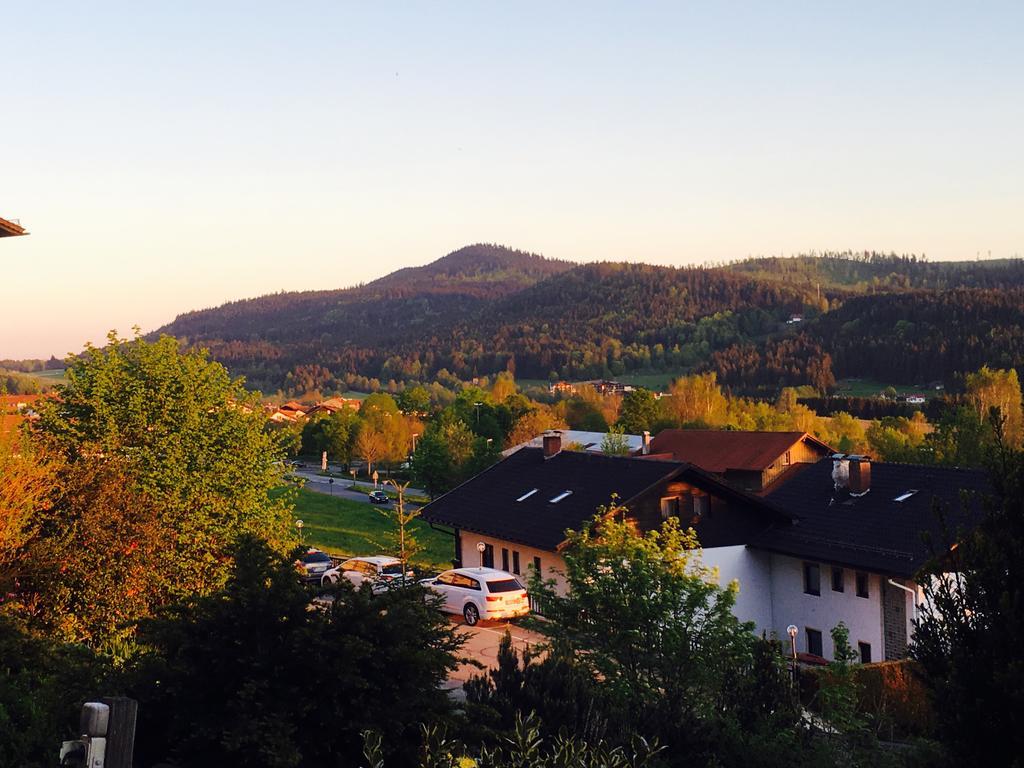 Pension Klein Und Ferienwohnungen (Adults Only) Bodenmais Zewnętrze zdjęcie